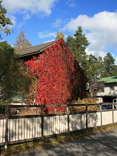 Parantolankadun ja Kauppalankadun kulma